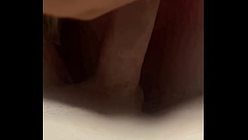 Miya triez desgraça do corno chifrudo