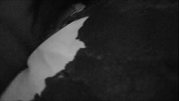 Big girlz gone wild 8