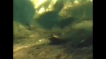 Rata Blanca thumbnail