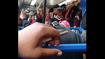 Bus Bus