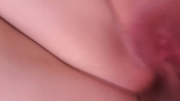 Pochis follando concha