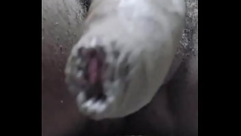 O cheiro do mato crespo tá mt bom #pentelho #uncut #bbc