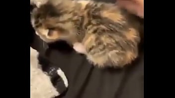 Vaporeon squirts all over