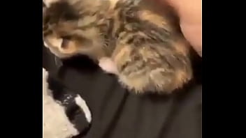 Vaporeon squirts all over