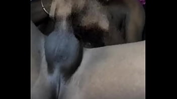 Mzansi teen jerking off while watching tv and porn on the internet free red video