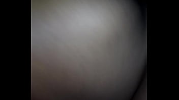 Mixed breed doggy from behind