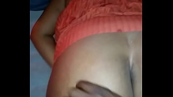 Mixed breed doggy from behind