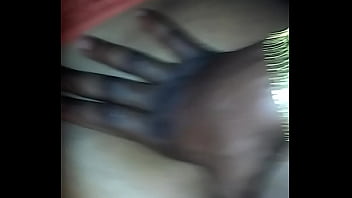 Mixed breed doggy from behind