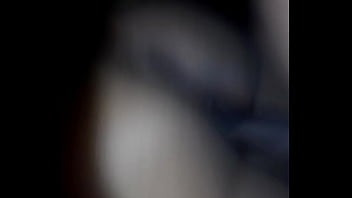 Mixed breed doggy from behind