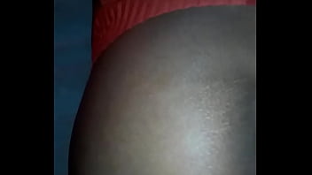 Mixed breed doggy from behind