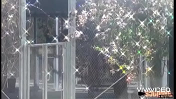 Khloe breaks snake halloween