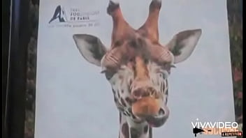 Khloe breaks snake halloween