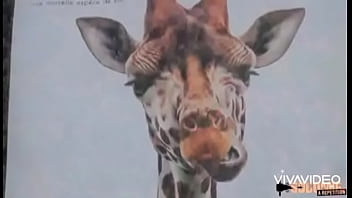 Khloe breaks snake halloween