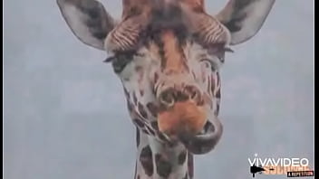 Khloe breaks snake halloween