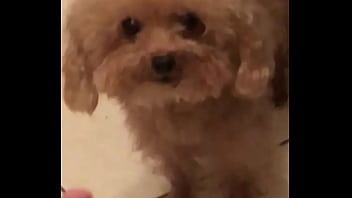 Video bokep part 67383633