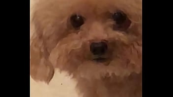 Video bokep part 67383633