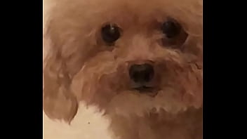 Video bokep part 67383633