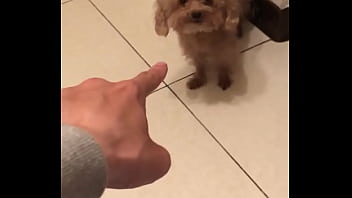 Video bokep part 67383633