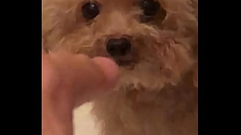 Video bokep part 67383633