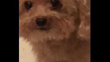 Video bokep part 67383633