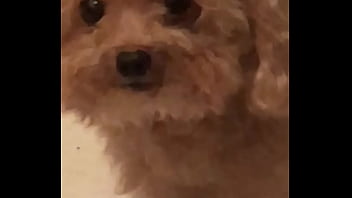 Video bokep part 67383633