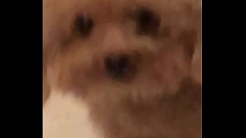 Video bokep part 67383633