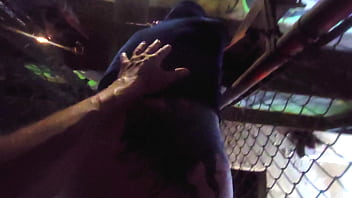 Terrifying pedestrian bridge walk with sarah bj — fear turns to wet desire