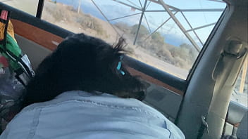 Petite classmate wanted to study