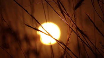 Gangbang con compañeros de trabajo 3 relatos eróticos cortos en español