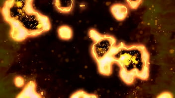 Aruba's best services