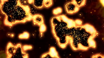 Aruba's best services