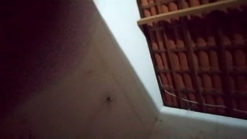 Vídeo de verificação