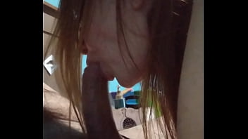 Swallow Swallow