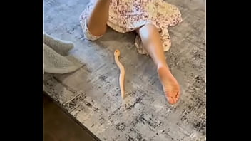 वेरीफ़िकेशन विडियो