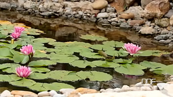 These feet are made for hot college babes enjoy toe sucking