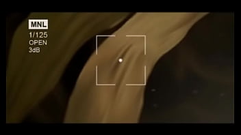 Lundi 23 décembrebande annonce nouvelle vidéo lys découvre un