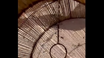 Good morning ️ update #222 2023 10 23t05 57 10 000z