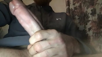 Young cock