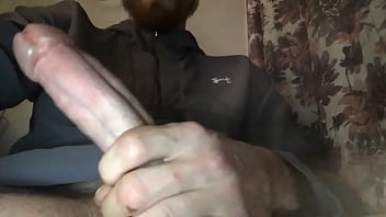 Young cock