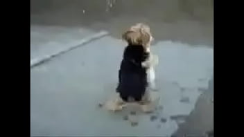 ðºñƒð´ñ€ñð²ñ‹ðµ ñ‚ð°ð½ñ†ñ‹