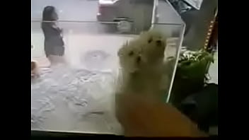 ðºñƒð´ñ€ñð²ñ‹ðµ ñ‚ð°ð½ñ†ñ‹