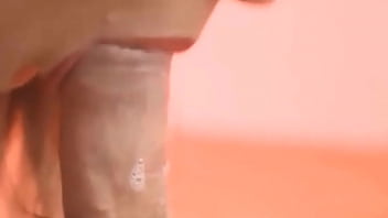 Me encanta mamar polla y que me deje el semen