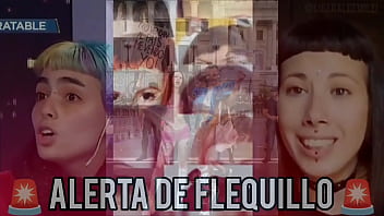 Critica al peronismo