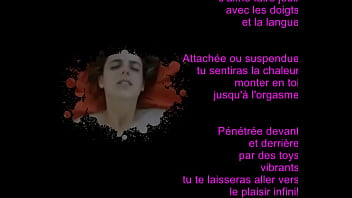 Présentation rapide