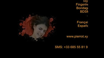 Présentation rapide