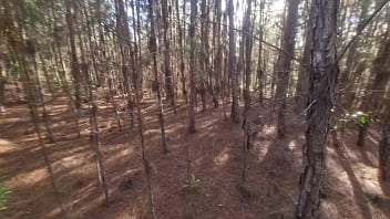 Turista perdido na mata obrigado a foder uma bruxa pra nao ser amaldiçoado