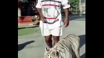 Iron mikee tyson largue a punheta e assista isso