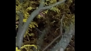 I'm a jolly good fellow while smiling with yellow trees and anal ending