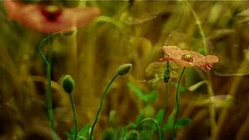 Neeye nirantharam à®¨à¯€à®¯à¯†