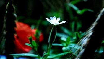 Neeye Nirantharam à®¨à¯€à®¯à¯† thumbnail